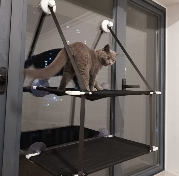 Hamaca para gato